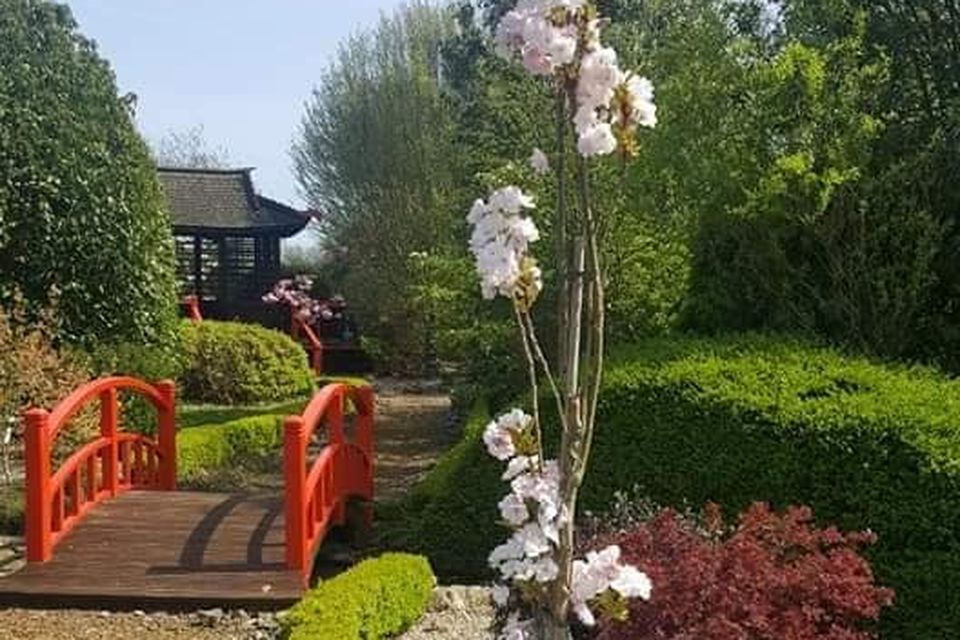 Iris Checkett's Japanese theme garden in Courtown has officially closed for good.